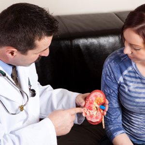 Doctor showing a woman a model of a kidney